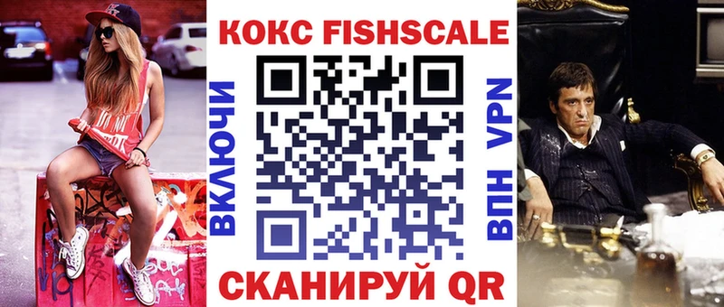 COCAIN Fish Scale  Купить  Могоча 