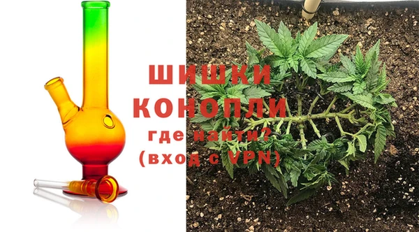 прущие грибы Кукмор