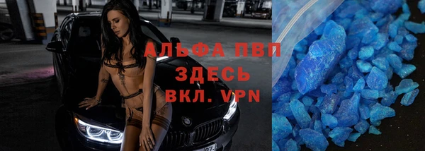 прущие грибы Кукмор