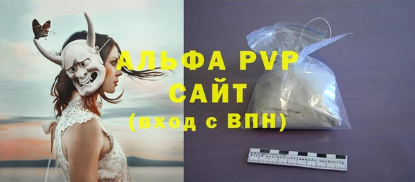 прущие грибы Кукмор