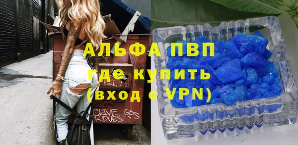 прущие грибы Кукмор