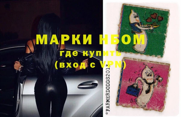 прущие грибы Кукмор