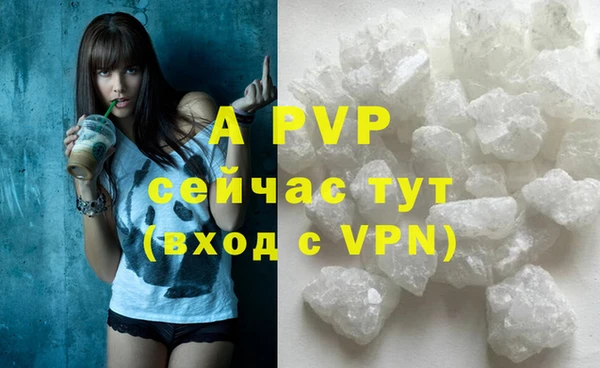 прущие грибы Кукмор