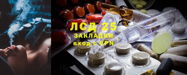 прущие грибы Кукмор